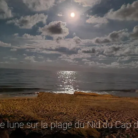 De Standing La Pecherie Spacieux T3 Comme Un Cocon Familial Vue Et Sur L'avant Port Sur Le Bout Du Bout De Cap D'agde Seule Cap En Occitanie