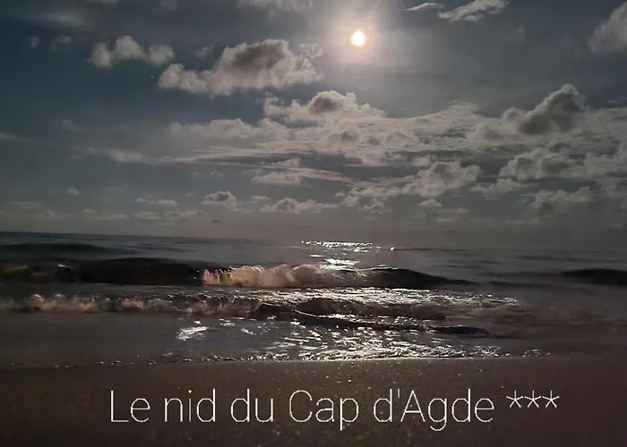 De Standing La Pecherie Spacieux T3 Comme Un Cocon Familial Vue Et Sur L'avant Port Sur Le Bout Du Bout De Cap D'agde Seule Cap En Occitanie 아그